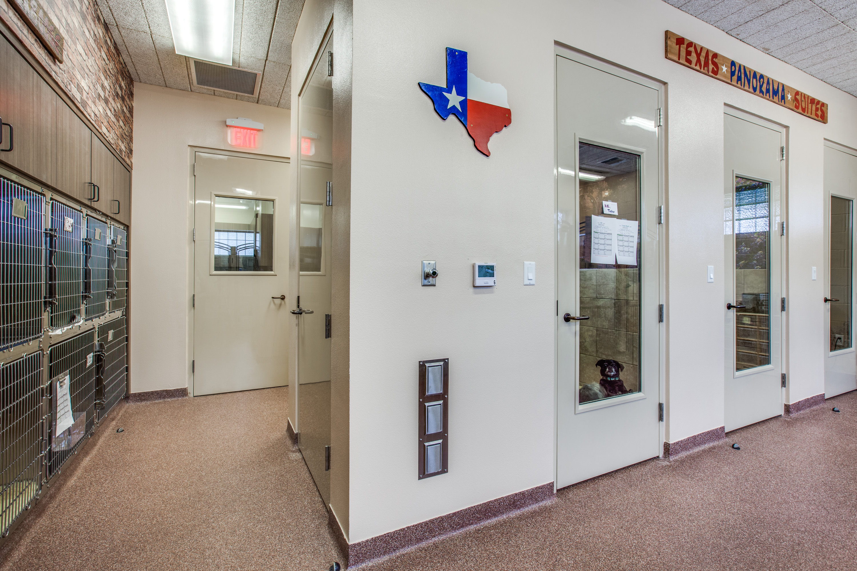 Arlington Veterinary Center (10)